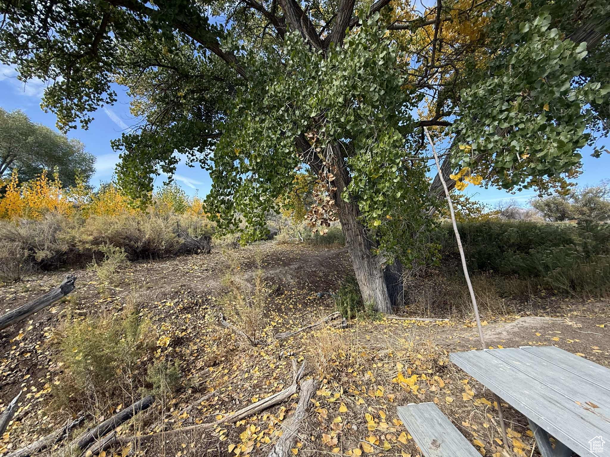 Huntington, Utah, 84528, United States, 4 Bedrooms Bedrooms, ,1 BathroomBathrooms,Residential,Active,1963255