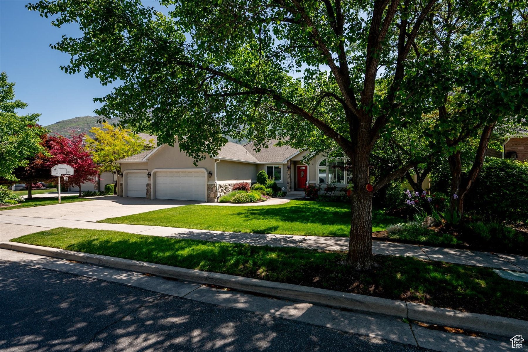 Cottonwood Heights, Utah, 84121, United States, 6 Bedrooms Bedrooms, ,3 BathroomsBathrooms,Residential,Active,1964287