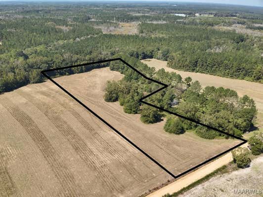 7 ACRES C POWELL ROAD, SAMSON, AL 36477 - Image 1