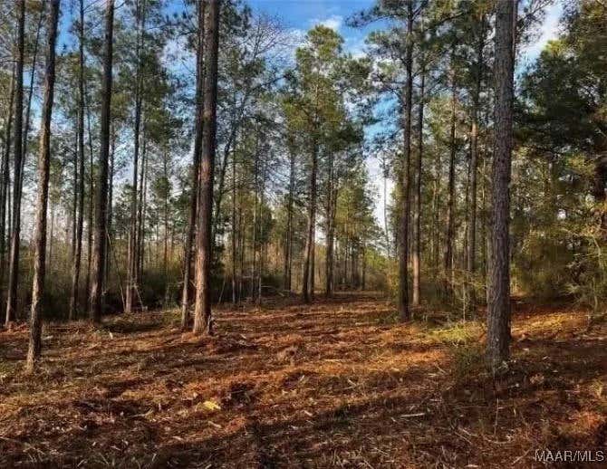 LOT 4A COUNTY ROAD 651, COFFEE SPRINGS, AL 36318, photo 1