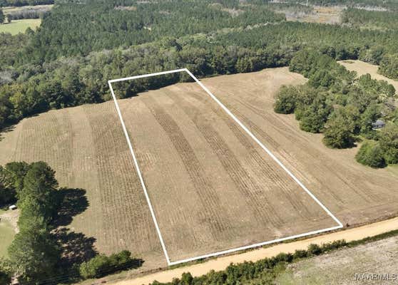 5.78 ACRES C POWELL ROAD, SAMSON, AL 36477 - Image 1