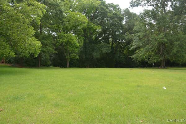 LOT 12 HIGHWAY 87, TROY, AL 36079 - Image 1