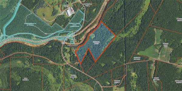 49 ACRES ALONG HESBON ROAD, BLAIRSVILLE, PA 15717 - Image 1