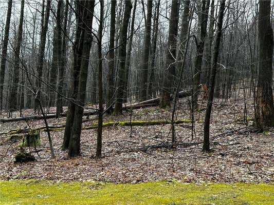 LOT 20 PHEASANT RUN LN, CHAMPION, PA 15622 - Image 1