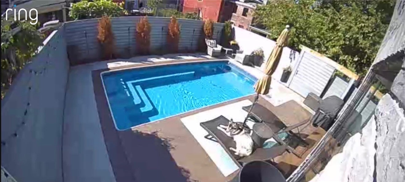 Pittsburgh, Pennsylvania, 15201, United States, 3 Bedrooms Bedrooms, ,4 BathroomsBathrooms,Residential,Active,1968384