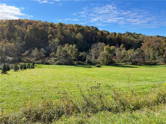 LOT 1 SHAG BARK GROVE, MURRYSVILLE, PA 15668, photo 4 of 21