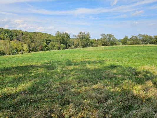 LOT #2 WISES GROVE ROAD, NEW BRIGHTON, PA 15066 - Image 1