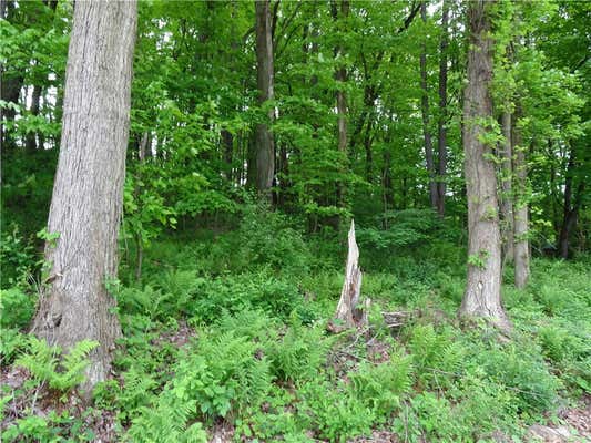 LOT 2 BOULDIN ROAD, IRWIN, PA 15642, photo 3 of 4