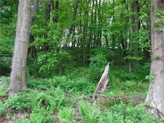 LOT 2 BOULDIN ROAD, IRWIN, PA 15642, photo 2 of 4