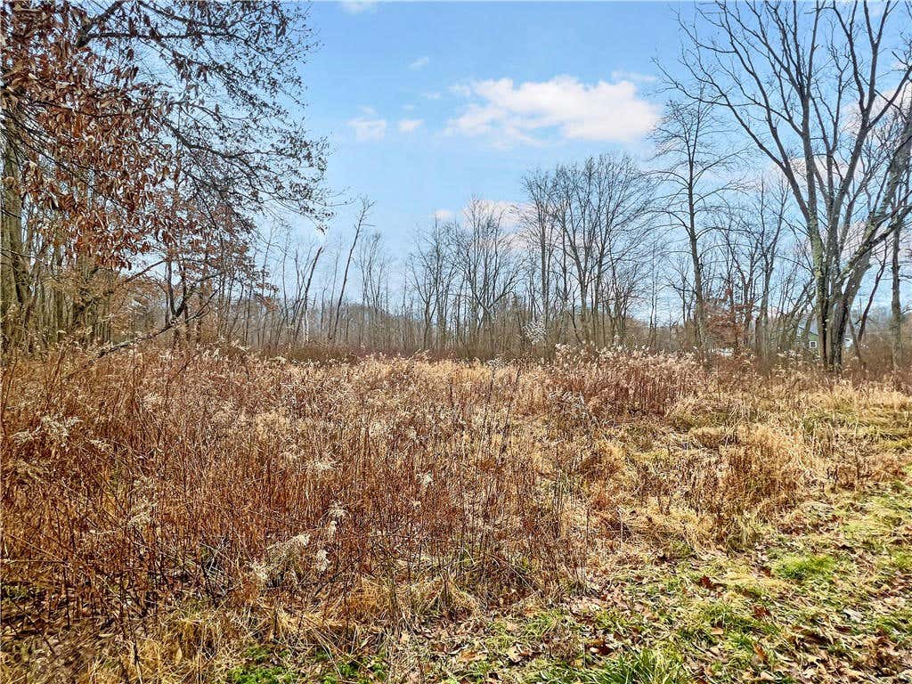 LOT 2 SYLVANIA ROAD, SLIPPERY ROCK, PA 16057, photo 1 of 3