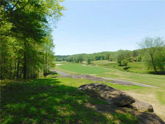 LOT 96 CLIFFS SOUTH PARKWAY, SALEM, SC 29676, photo 4 of 12