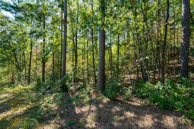 00 MOUNTAIN MINT WAY, SALEM, SC 29676 - Image 1