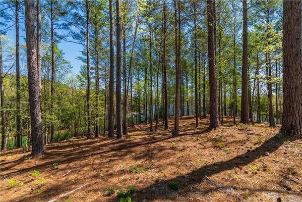 LOT 8 DIAMONDBACK DRIVE, SALEM, SC 29676, photo 2 of 16