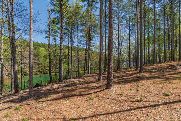 LOT 8 DIAMONDBACK DRIVE, SALEM, SC 29676, photo 3 of 16