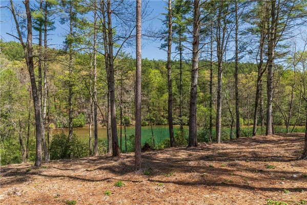 LOT 8 DIAMONDBACK DRIVE, SALEM, SC 29676, photo 4 of 16