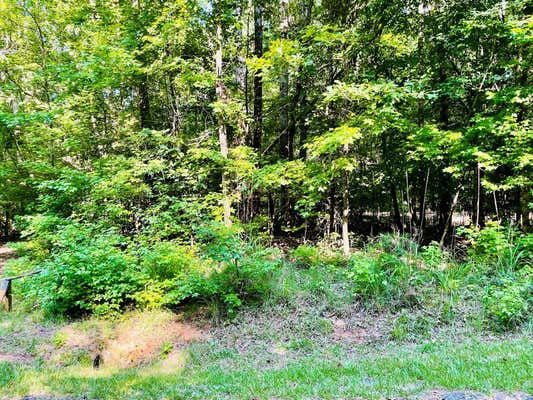 0 LAKE FOREST DRIVE # LOT 76, ABBEVILLE, SC 29620, photo 5 of 5