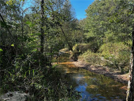 00000 SHALLOW FORD ROAD, SALEM, SC 29676 - Image 1